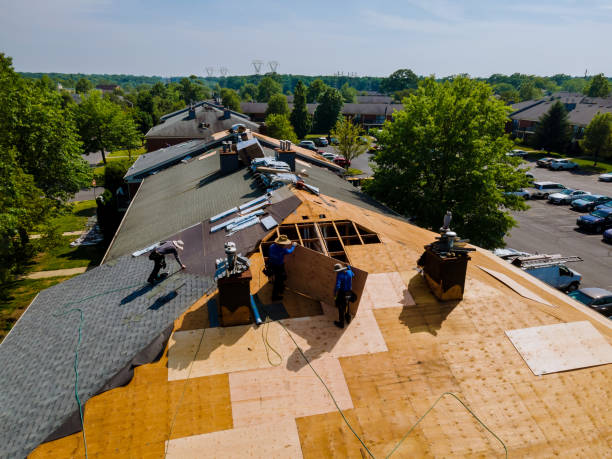 24/7 Emergency Roofing experts in Jackson, LA